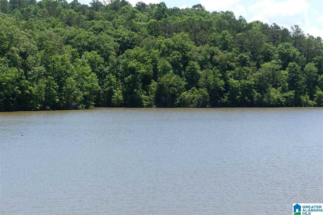 Lot 20 Foster Cove Drive - Photo 1