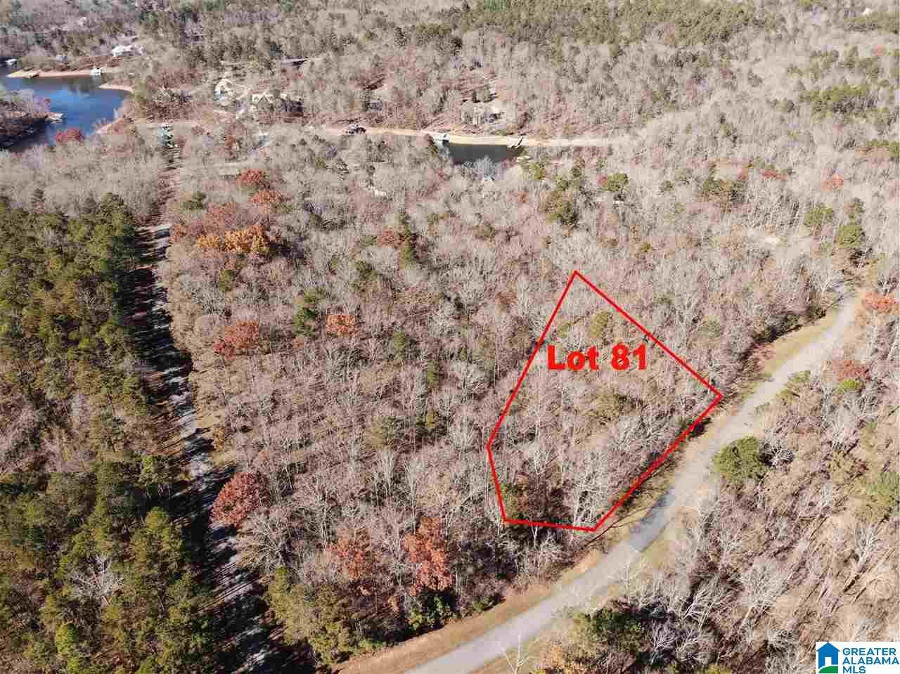 0 Blackberry Lane - Photo 1