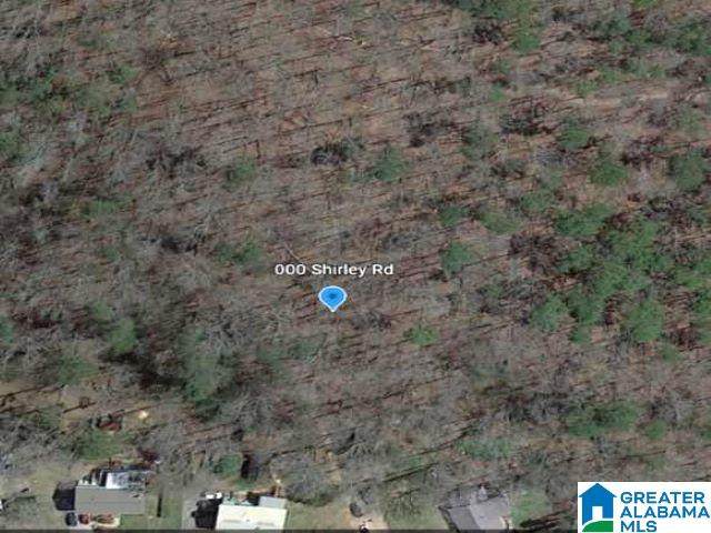 0000 Shirley Road - Photo 1