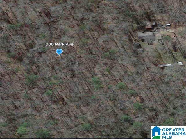 0000 Park Avenue - Photo 1