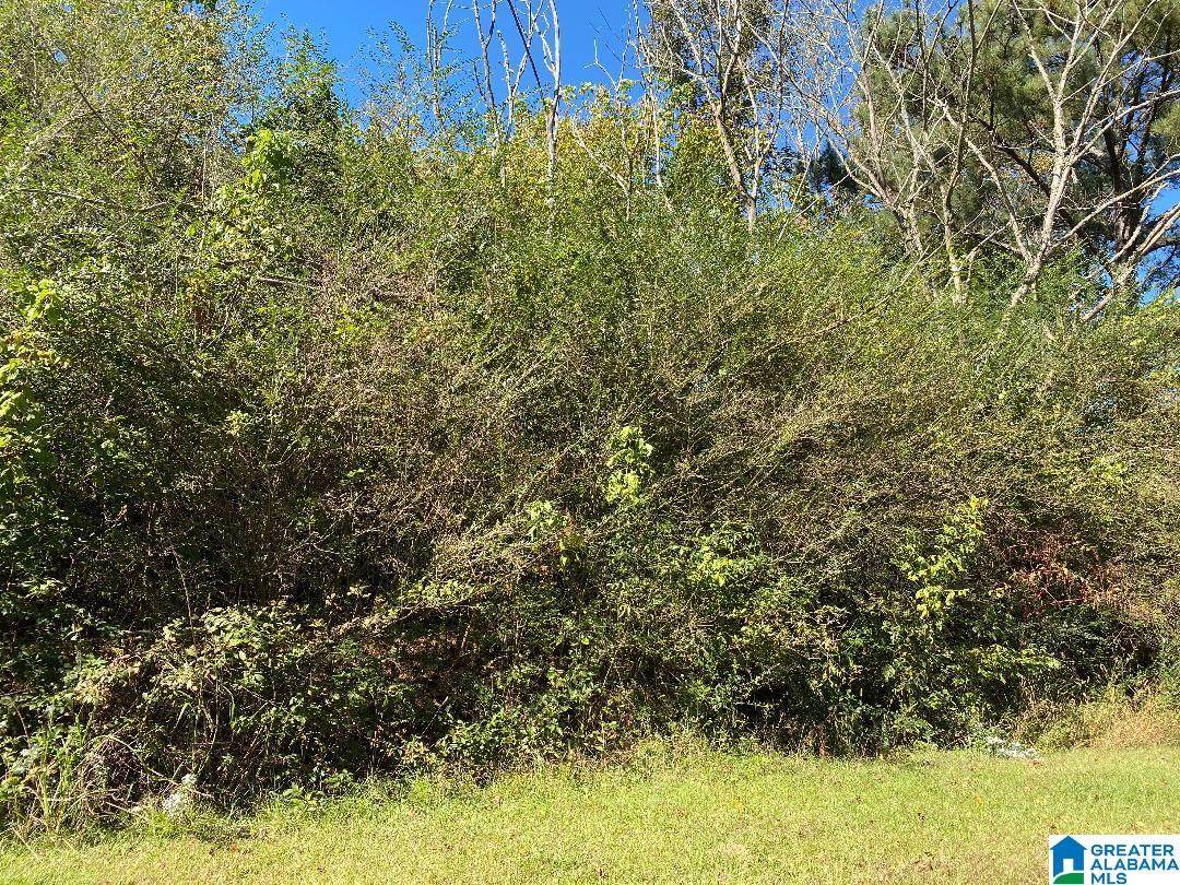 2803 Sweeney Hollow Road - Photo 1