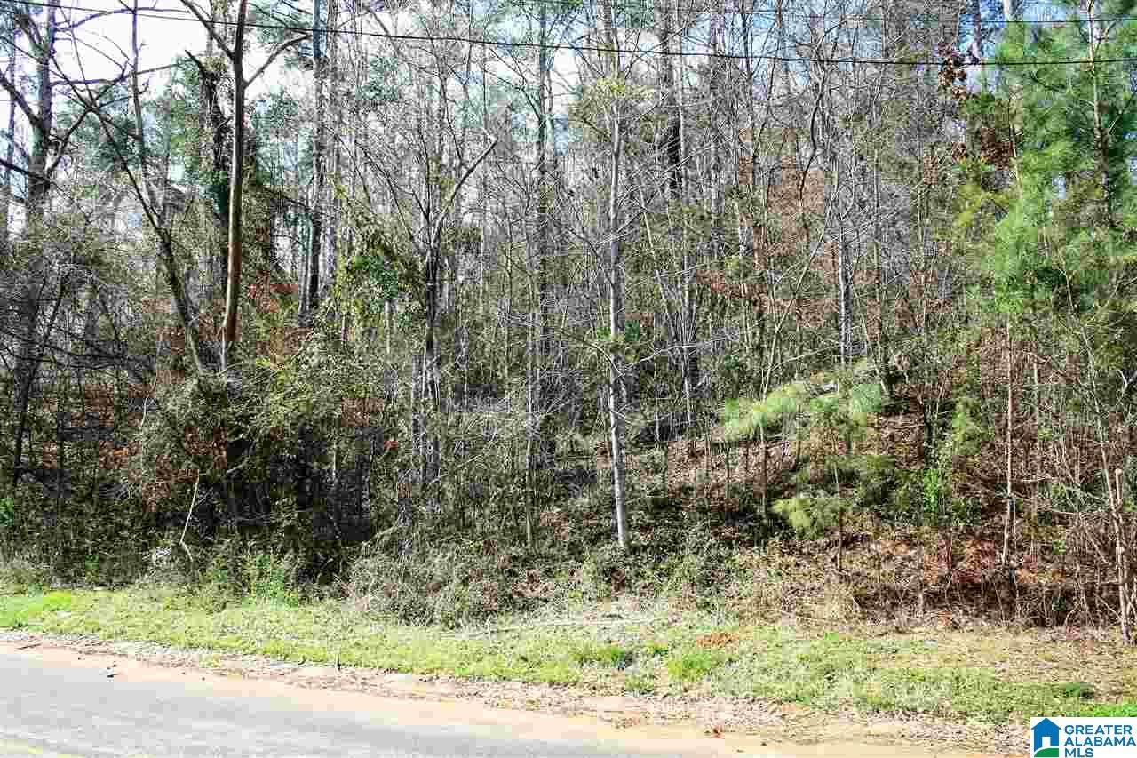 3179 Paradise Acres - Photo 1