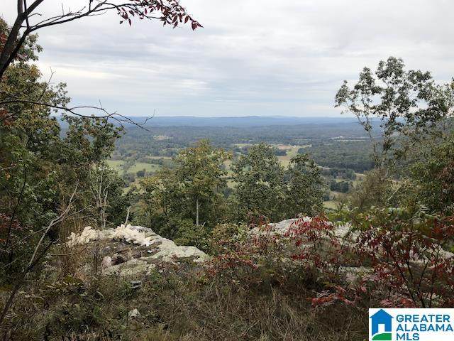 001 Chandler Mountain Road - Photo 1