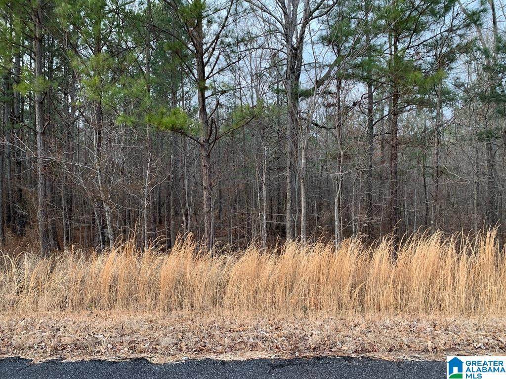 0 Timber Trail - Photo 1