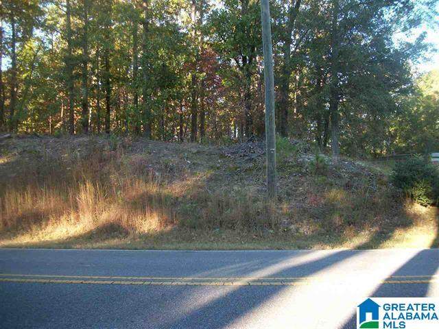 0 Tillman Avenue - Photo 1