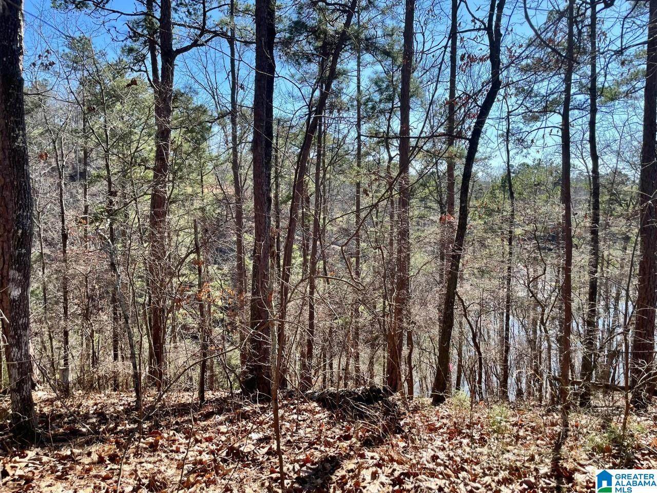 Oak Leaf Drive - Photo 1