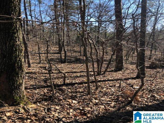 0 New Liberty Road - Photo 1