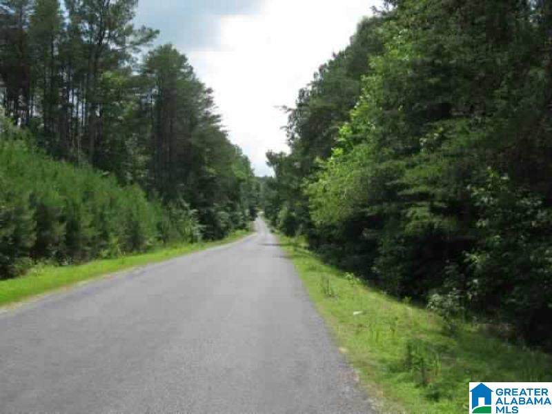 0 County Road 141 - Photo 1