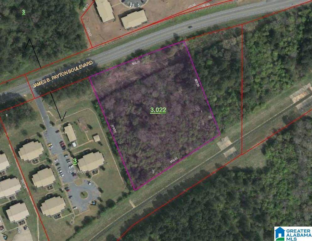 0 James Payton Boulevard - Photo 1
