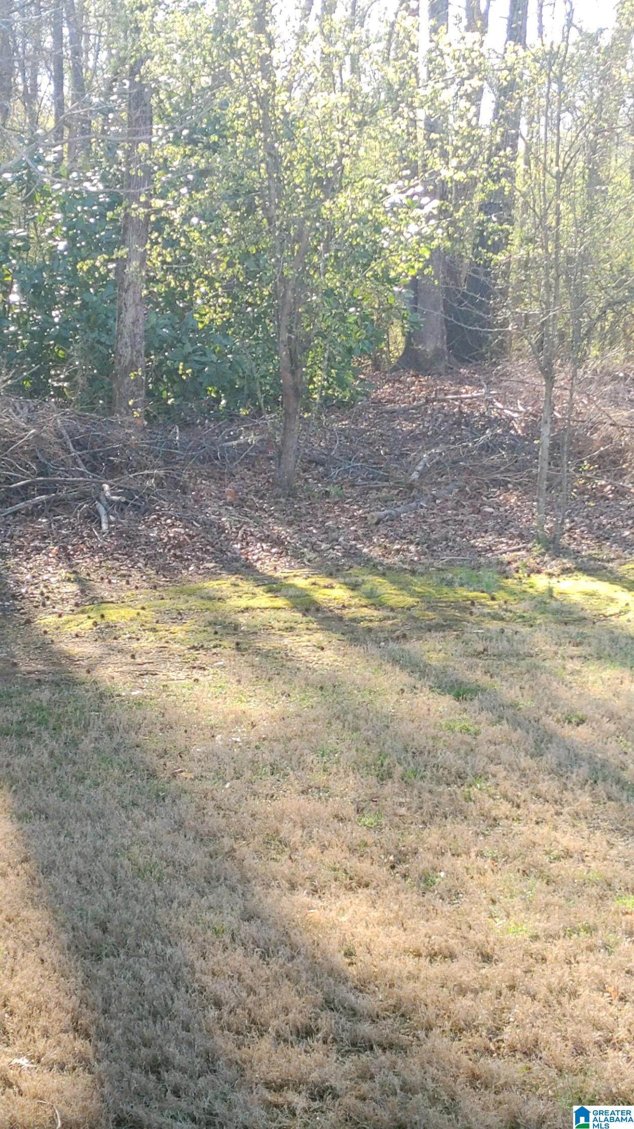 1253 11TH WAY - Photo 1