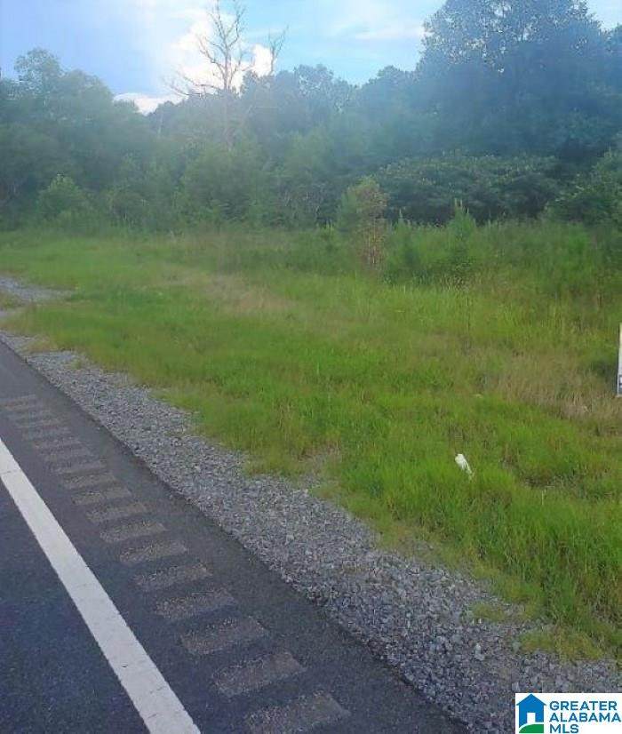 0 Highway 160 - Photo 1