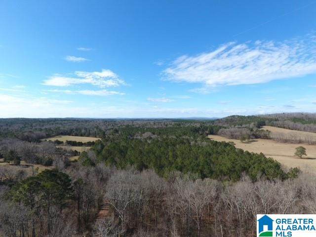 70553 Highway 77 - Photo 1