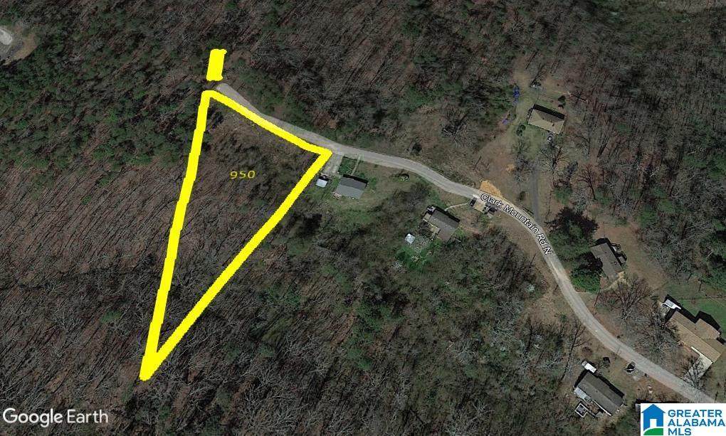 950 Clark Mountain Road - Photo 1