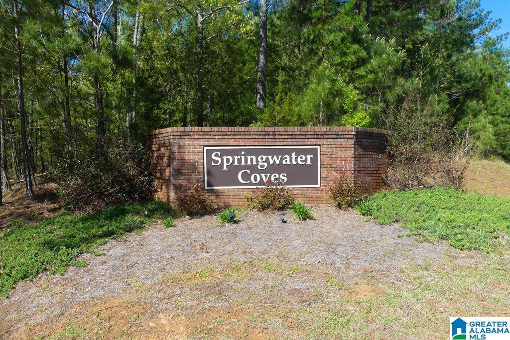 LOT 42 County Road 897 - Photo 1