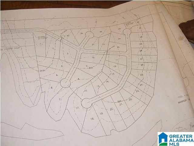 1495 Flem Vines Road - Photo 1