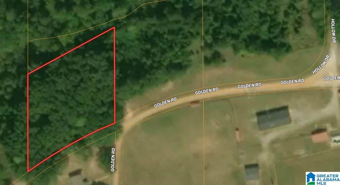 Lot 24 Golden Road - Photo 1