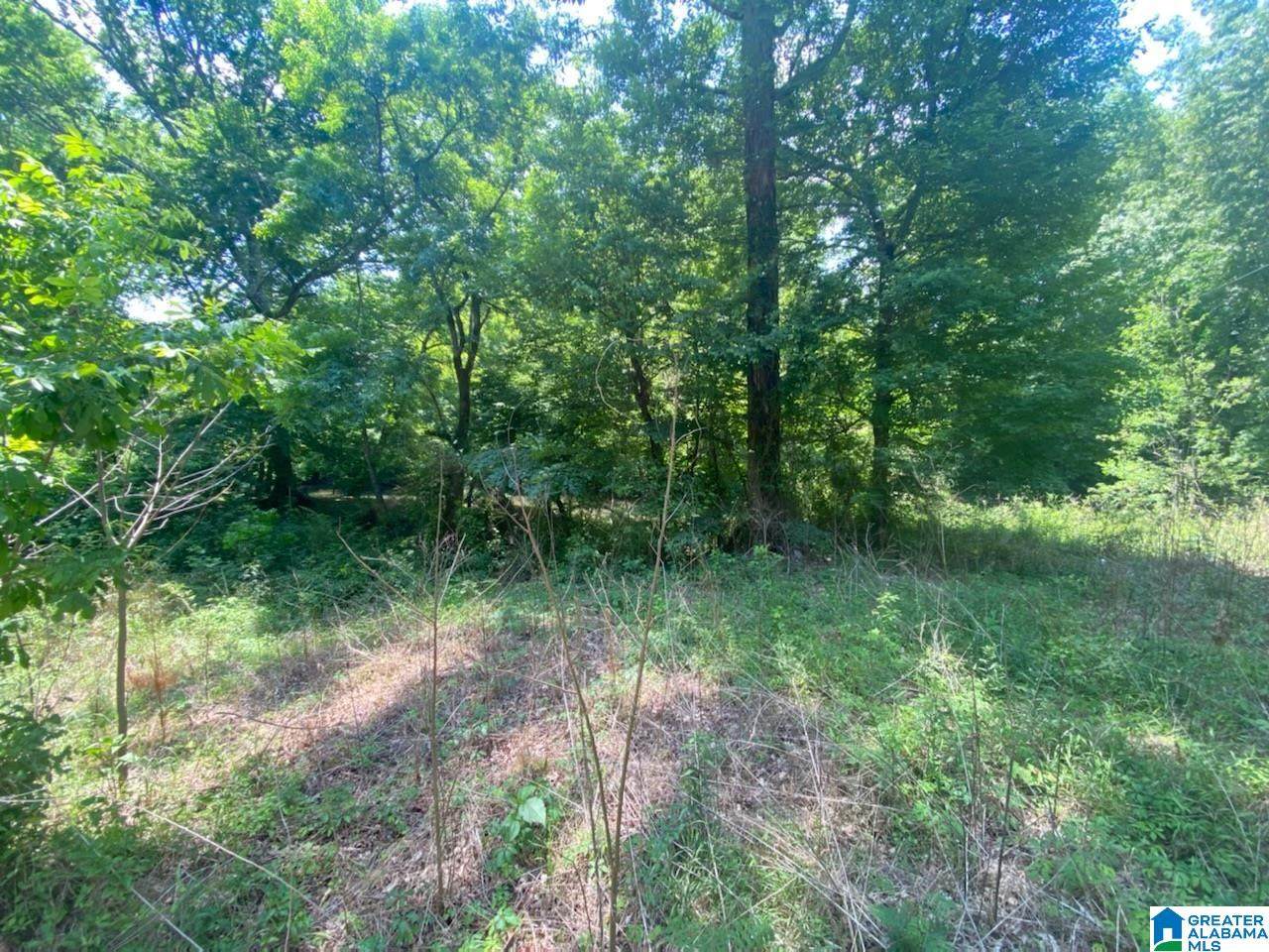0 Highway 511 - Photo 1