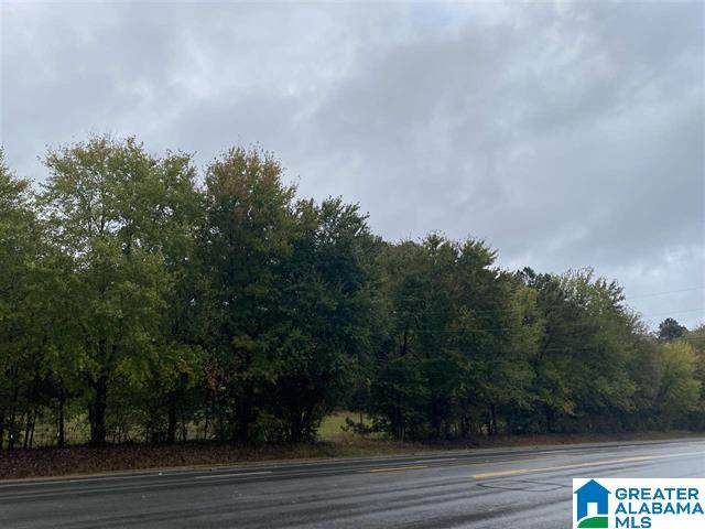 0 Highway 79 - Photo 1