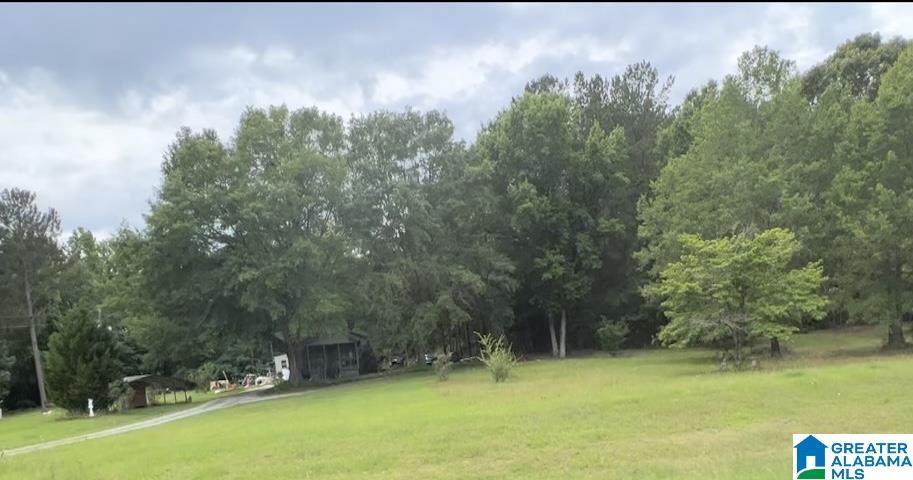 6534 Childersburg Fayetteville Highway - Photo 1