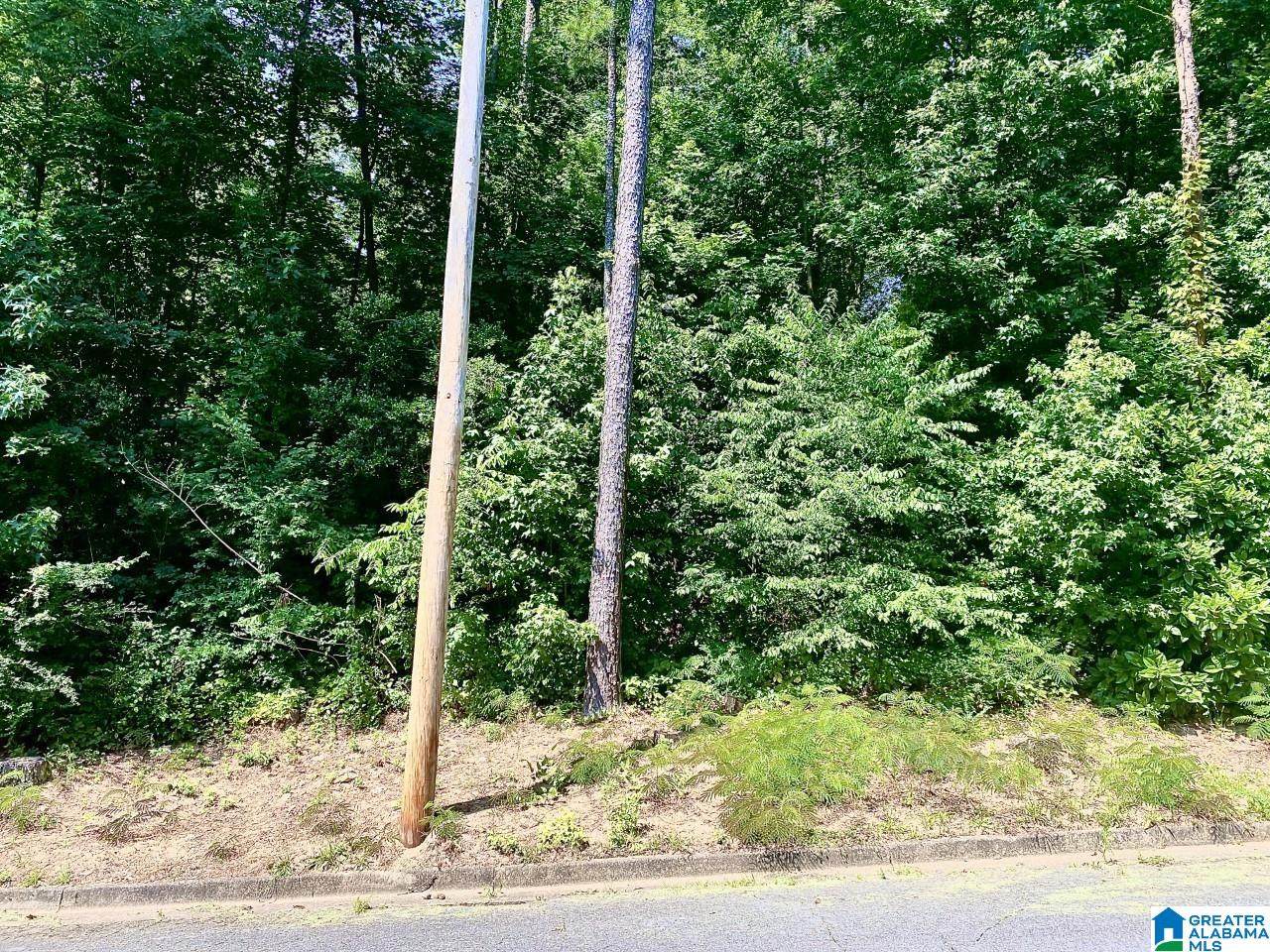 503 Hillside Road - Photo 1
