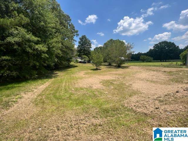 1155 Hepzibah Road - Photo 1