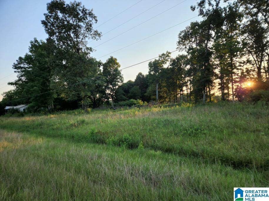 Highway 75 - Photo 1