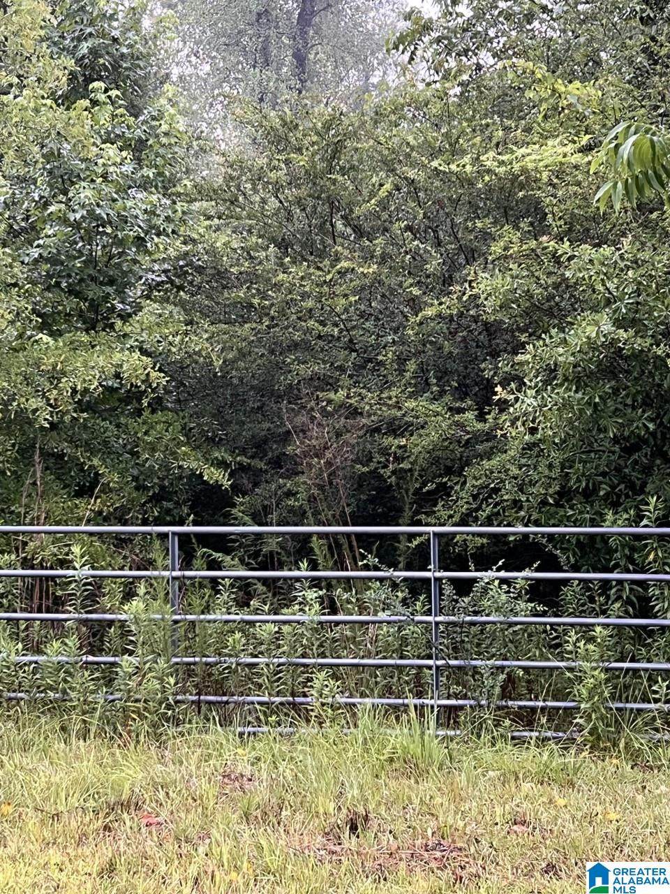 0 Highway 31 - Photo 1