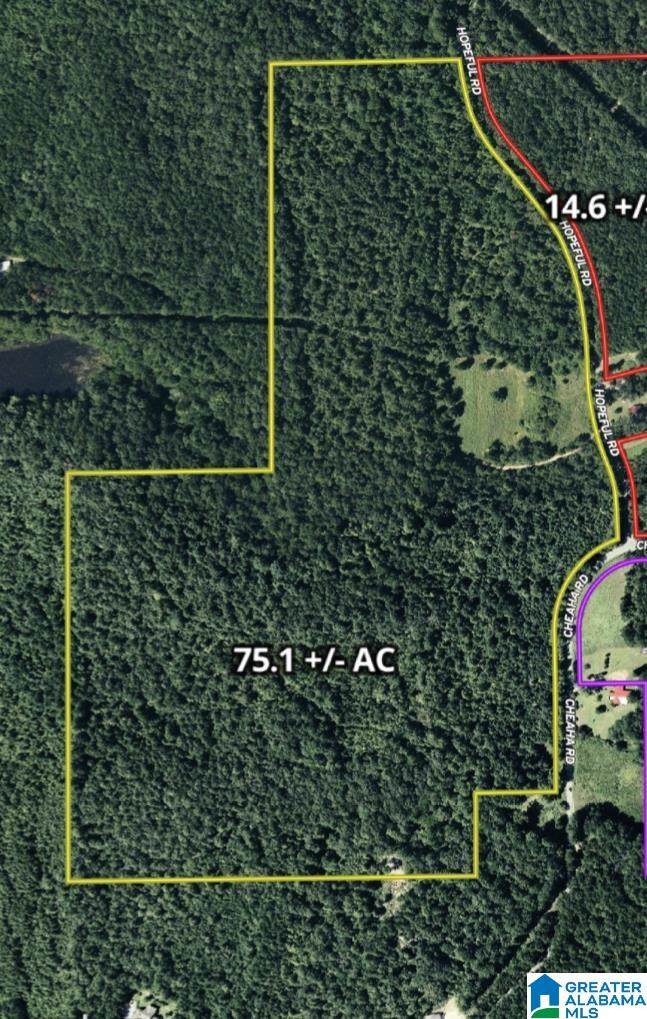0 Cheaha Road - Photo 1