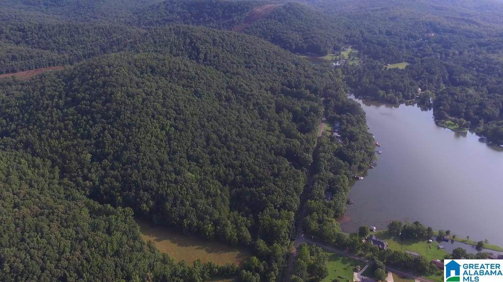 8346 Cedar Mountain Road - Photo 1