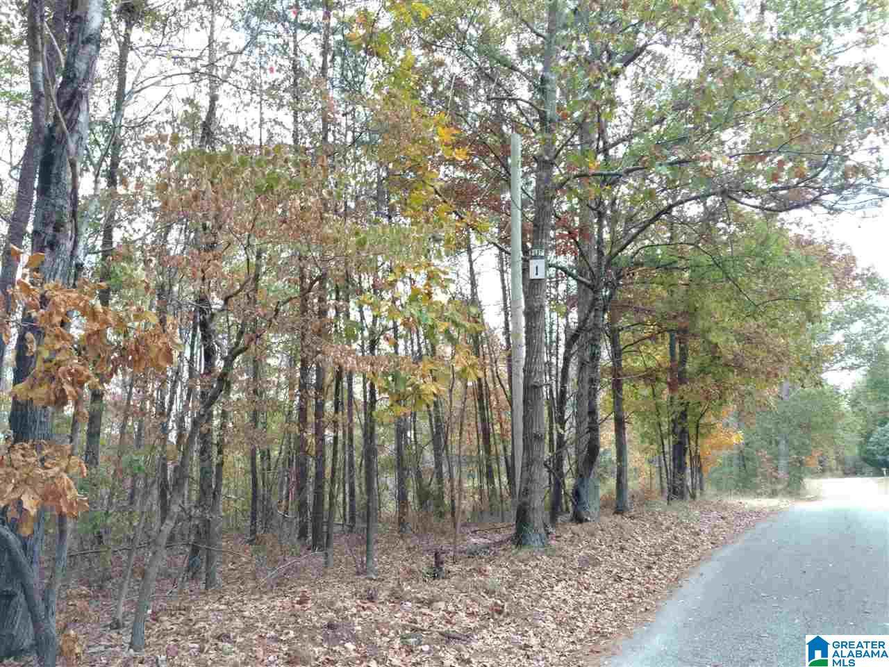 1454 Steve Crowder Road - Photo 1