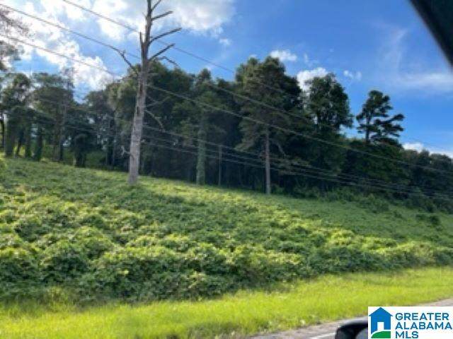8502 Gadsden Highway - Photo 1