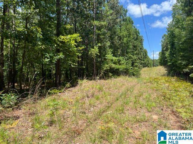 0 Andrews Mill Road - Photo 1