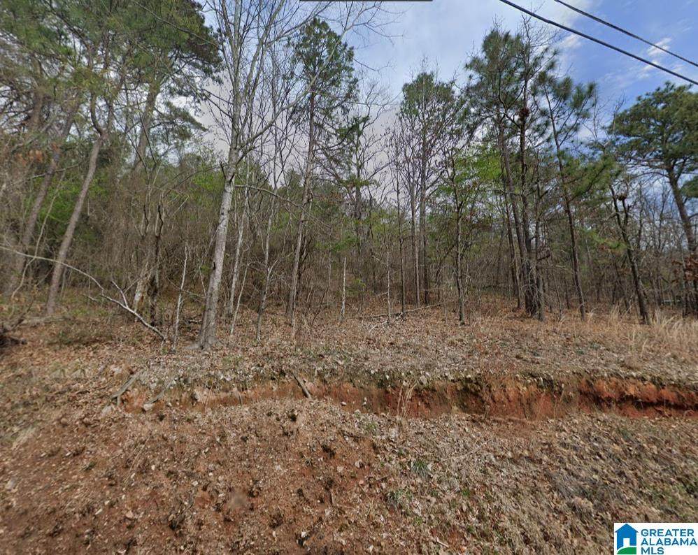 0 Brentwood Drive - Photo 1