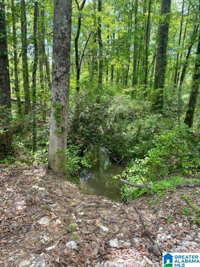 0 Gum Springs Road - Photo 1