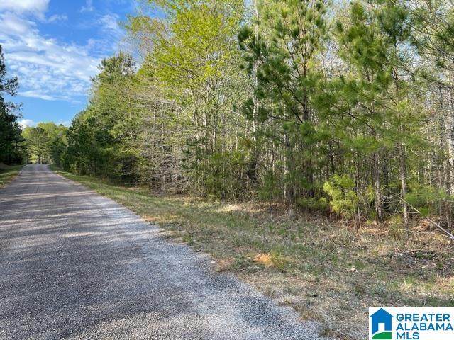 0 County Road 864 - Photo 1