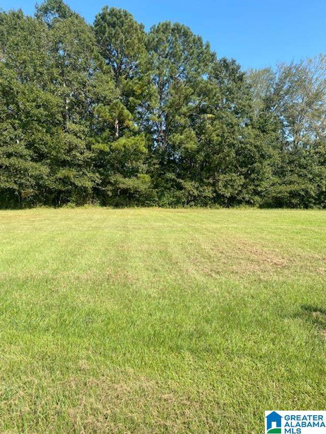 145 Quail Run Circle - Photo 1