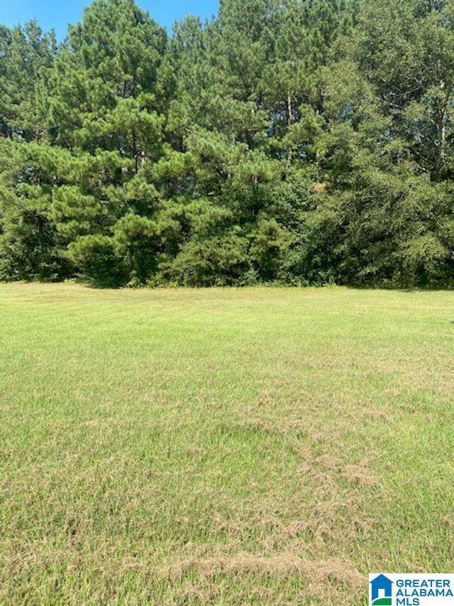 129 Quail Run Circle - Photo 1
