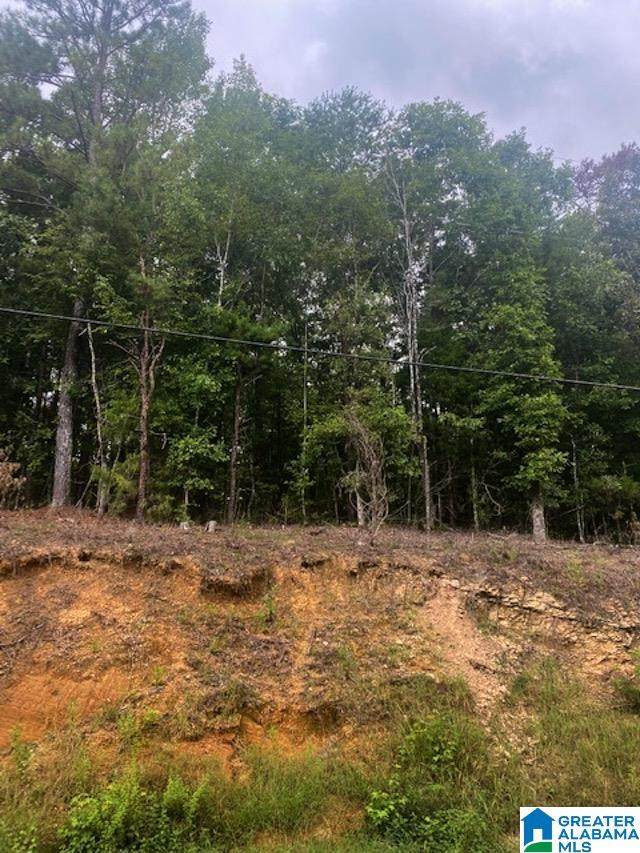 0 Highway 37 - Photo 1