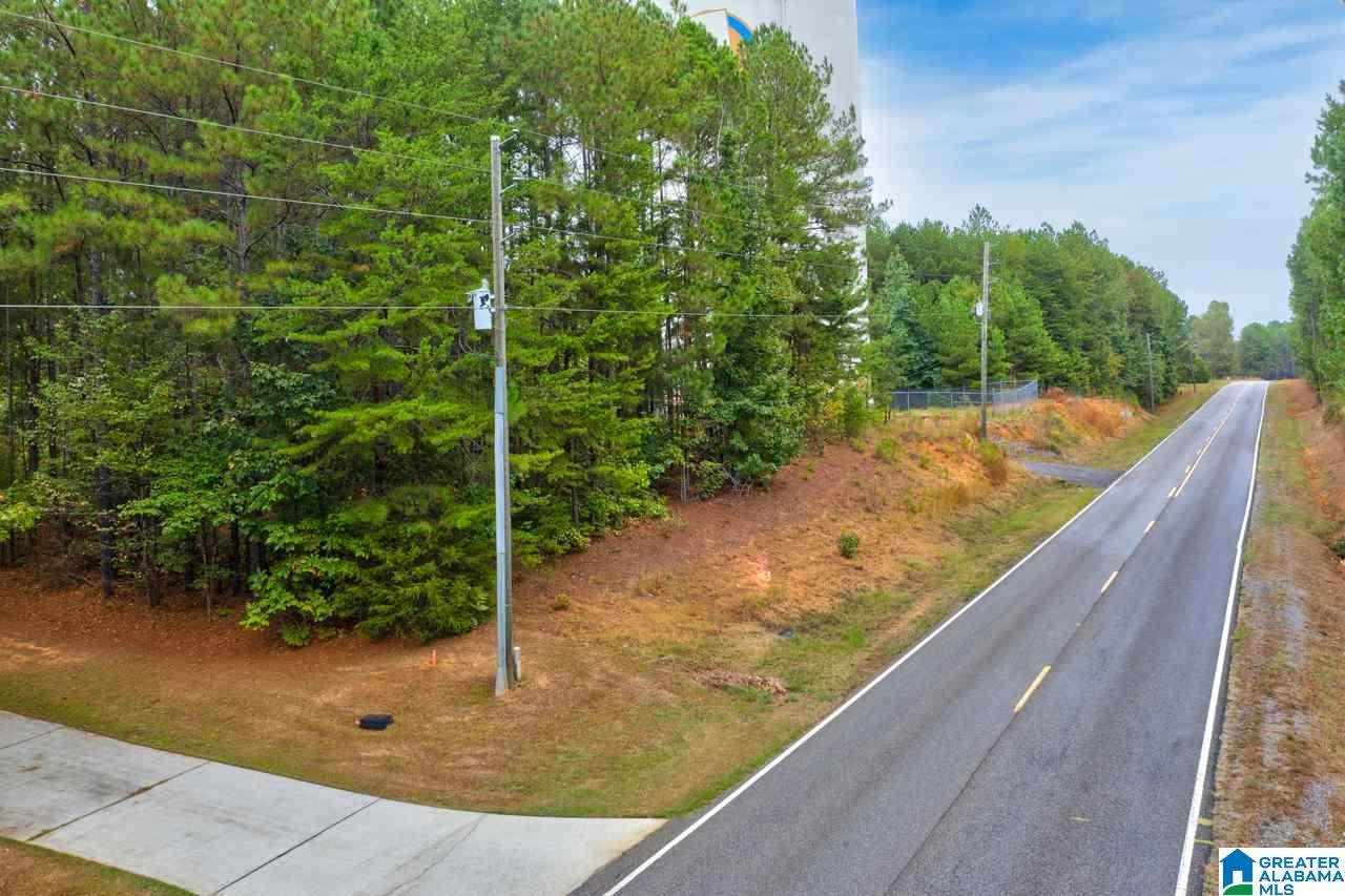 Lot 141 Highway 42 - Photo 1