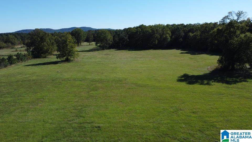 5365 Pinedale Road - Photo 1