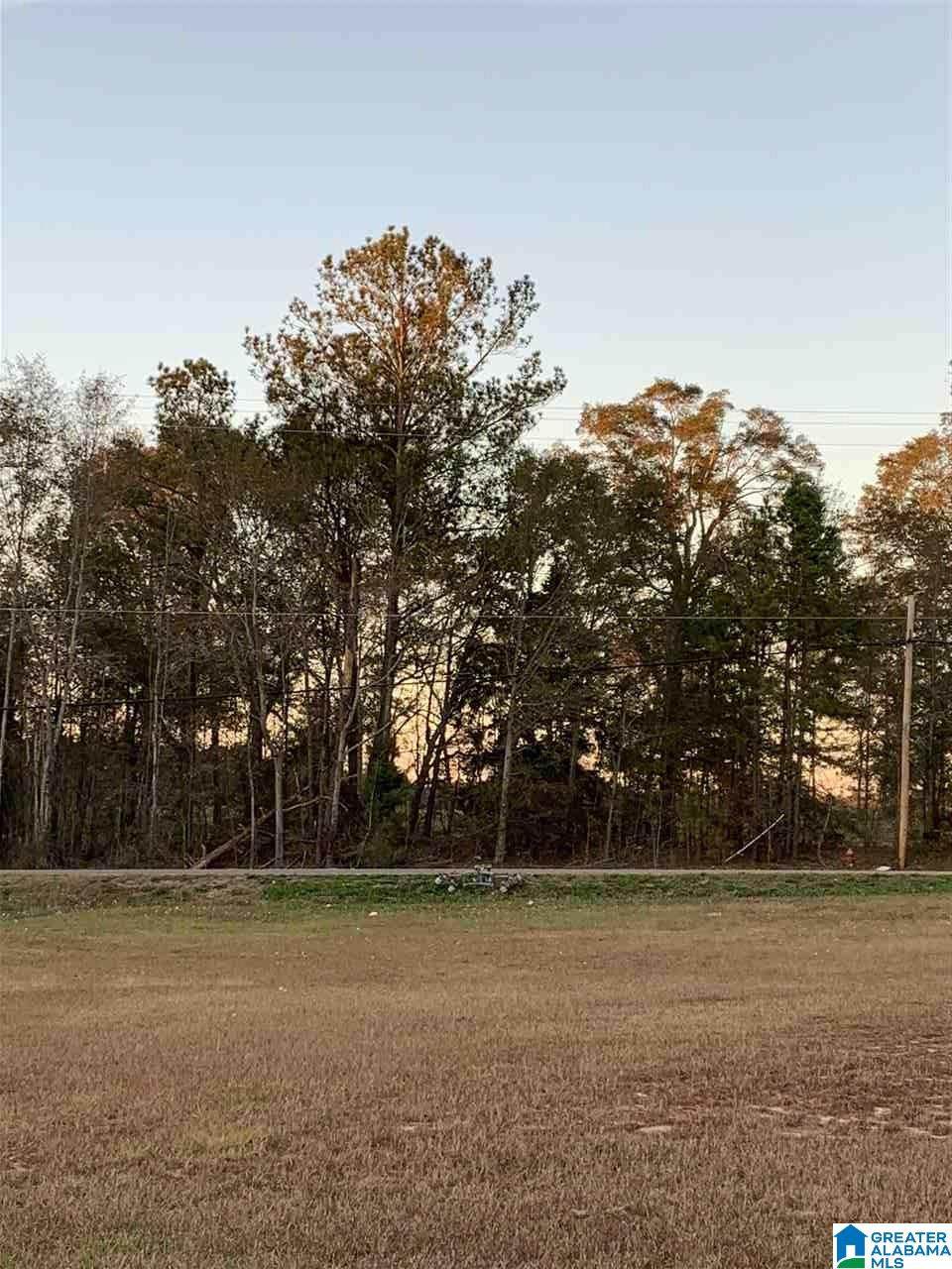 Lot 4 County Road 429 - Photo 1
