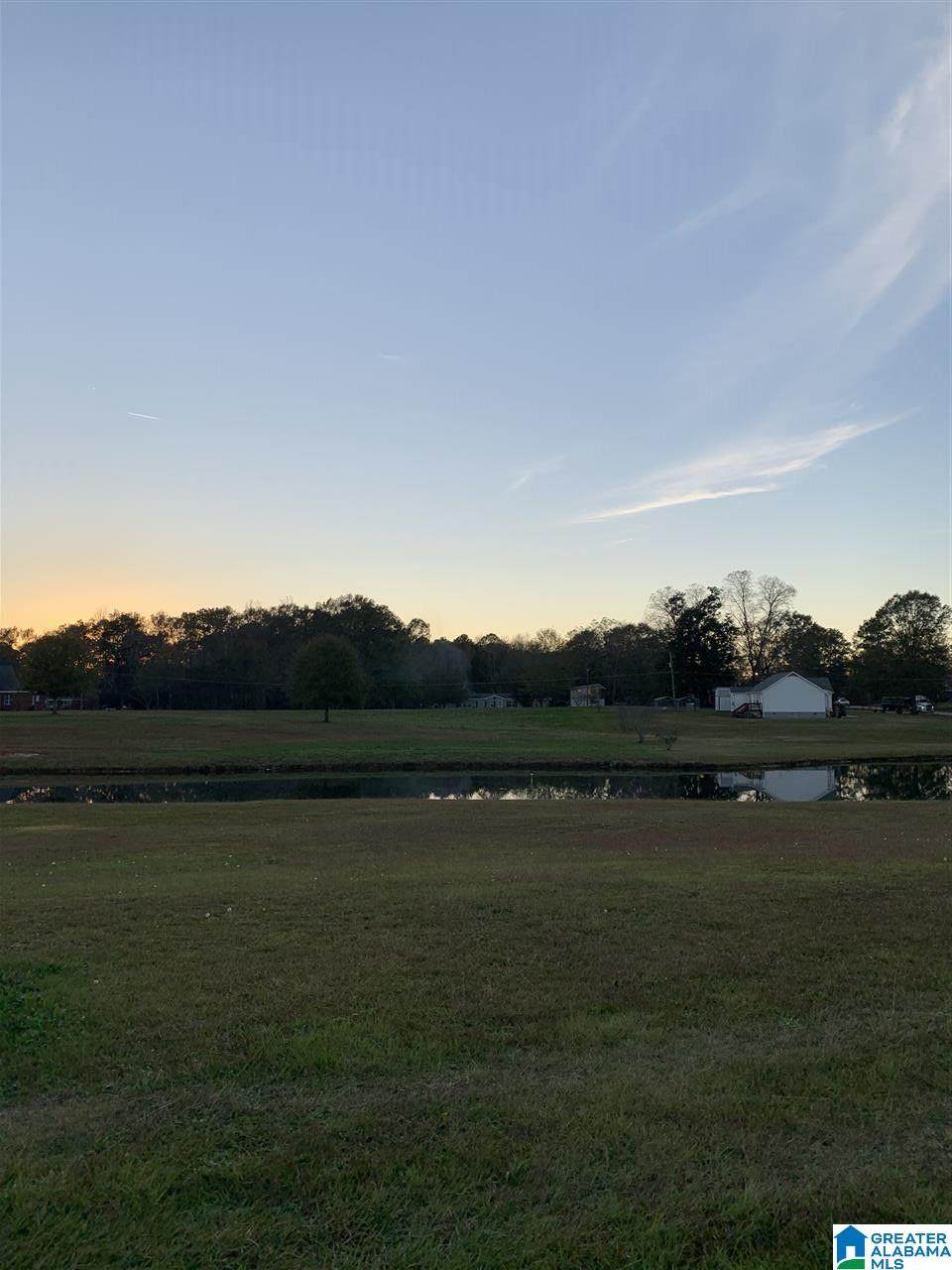 Lot 6 County Road 429 - Photo 1