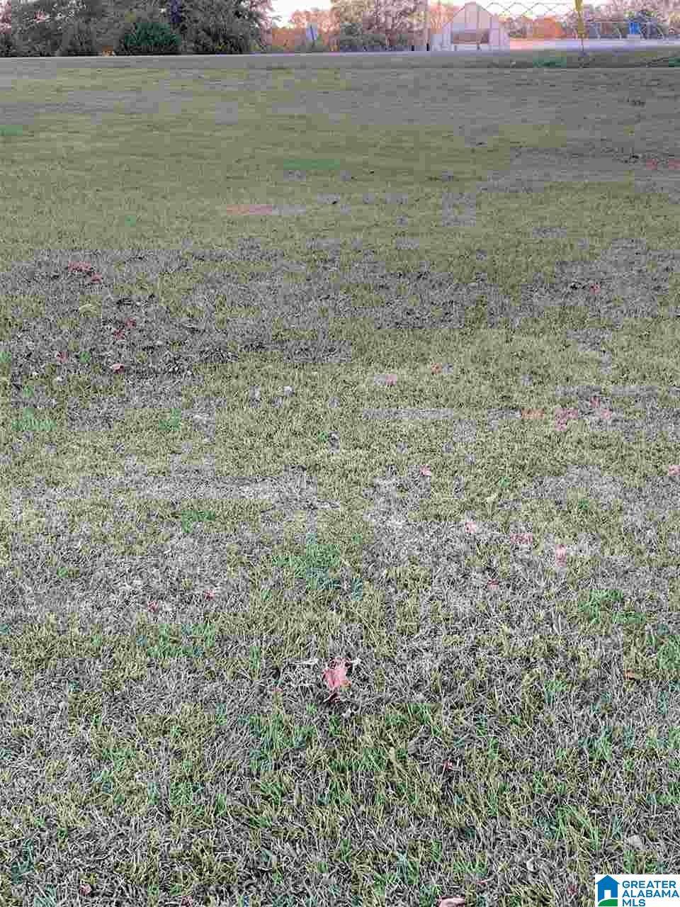 Lot 8 County Road 1002 - Photo 1