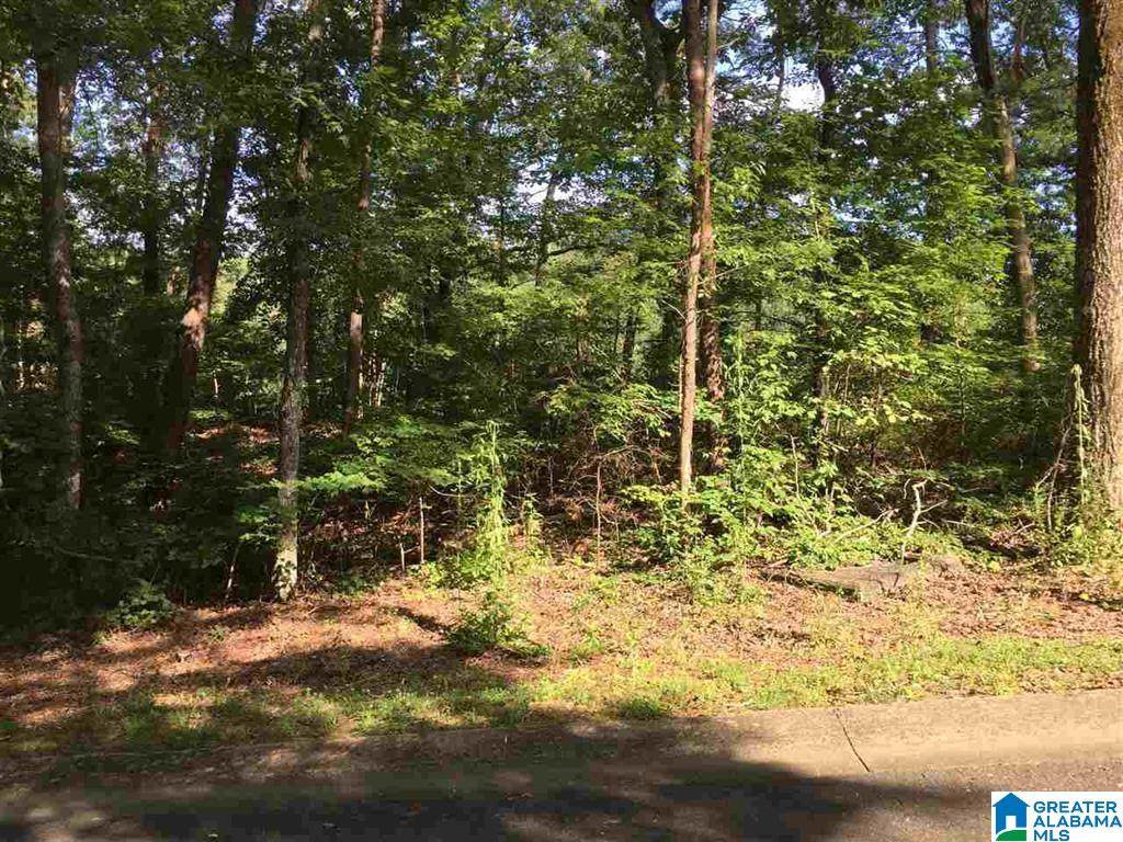 lot 112 Ridge Drive - Photo 1