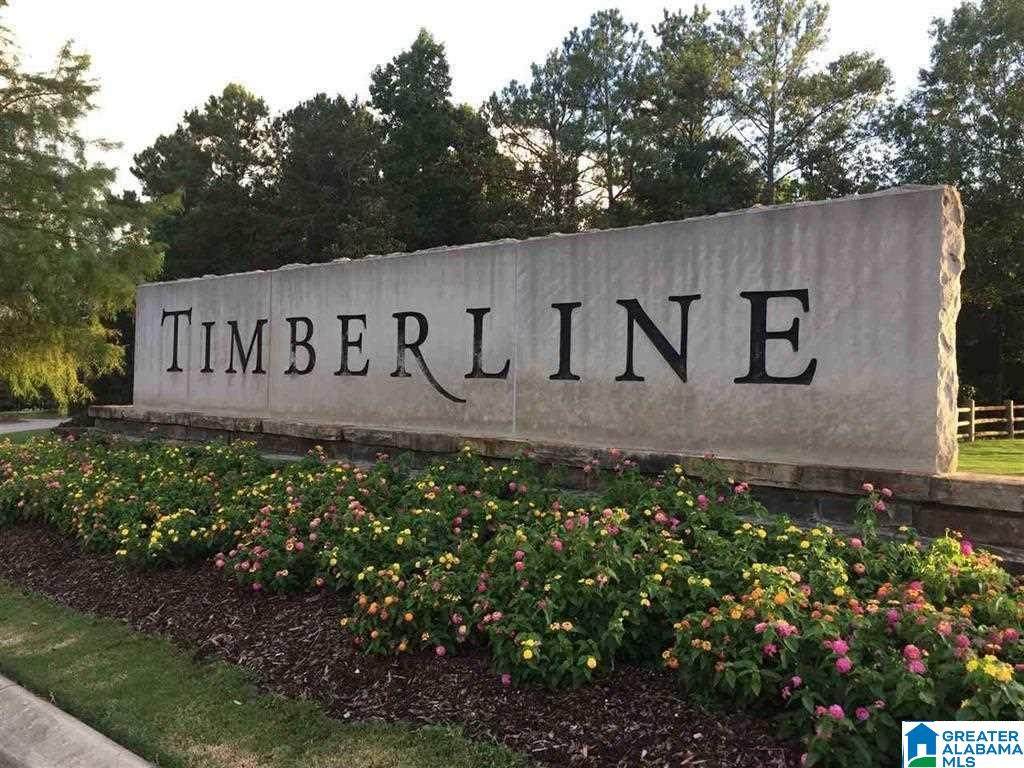 601 Timberline Trail - Photo 1