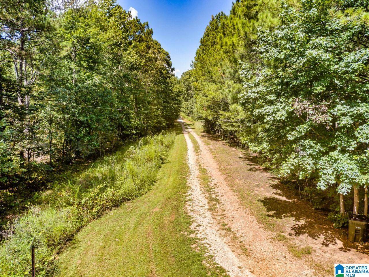 Pinetuckey Drive - Photo 1