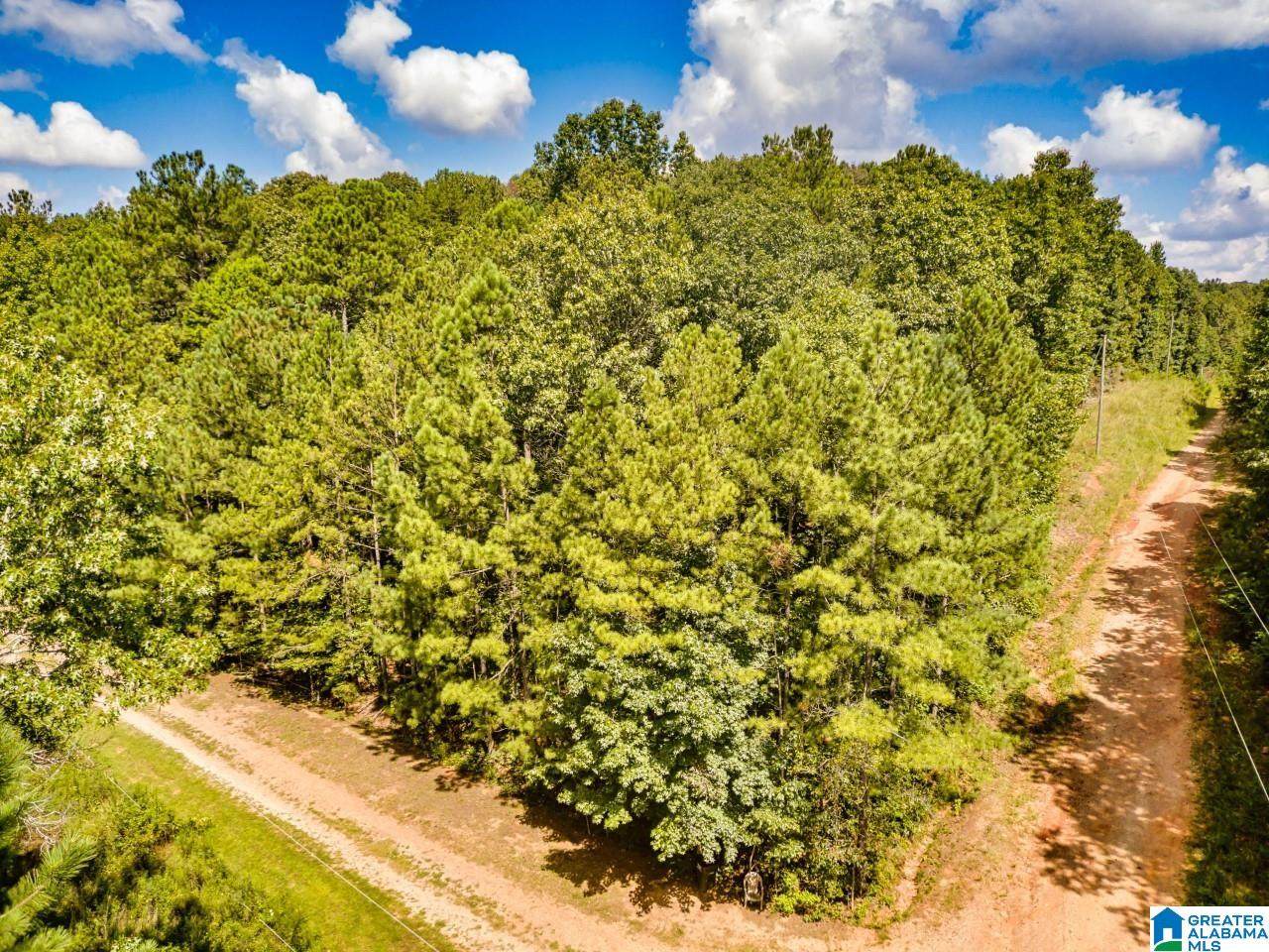 Pinetuckey Drive - Photo 1