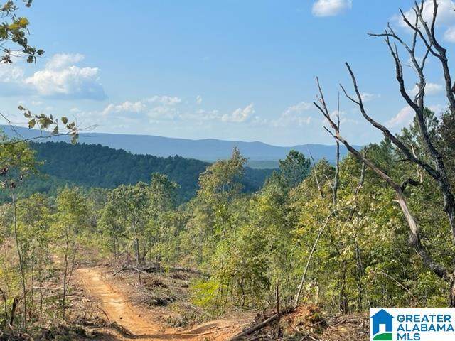 Borrowed Acres Road - Photo 1
