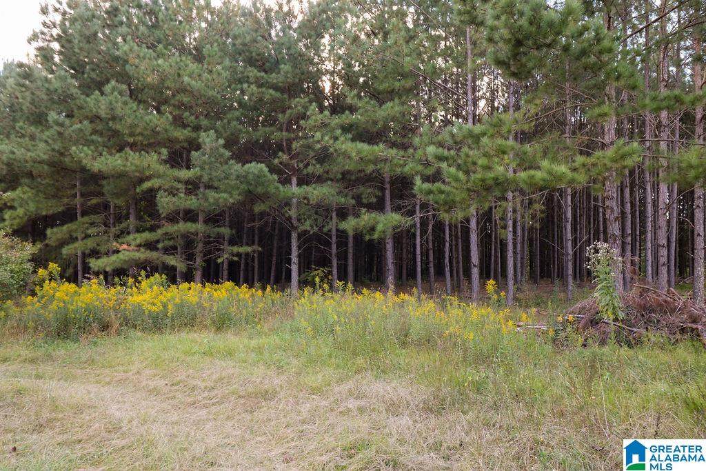 3030 County Road 614 - Photo 1