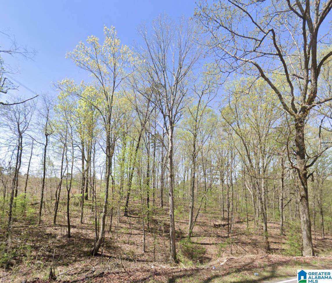 5427 Clay Palmerdale Road - Photo 1